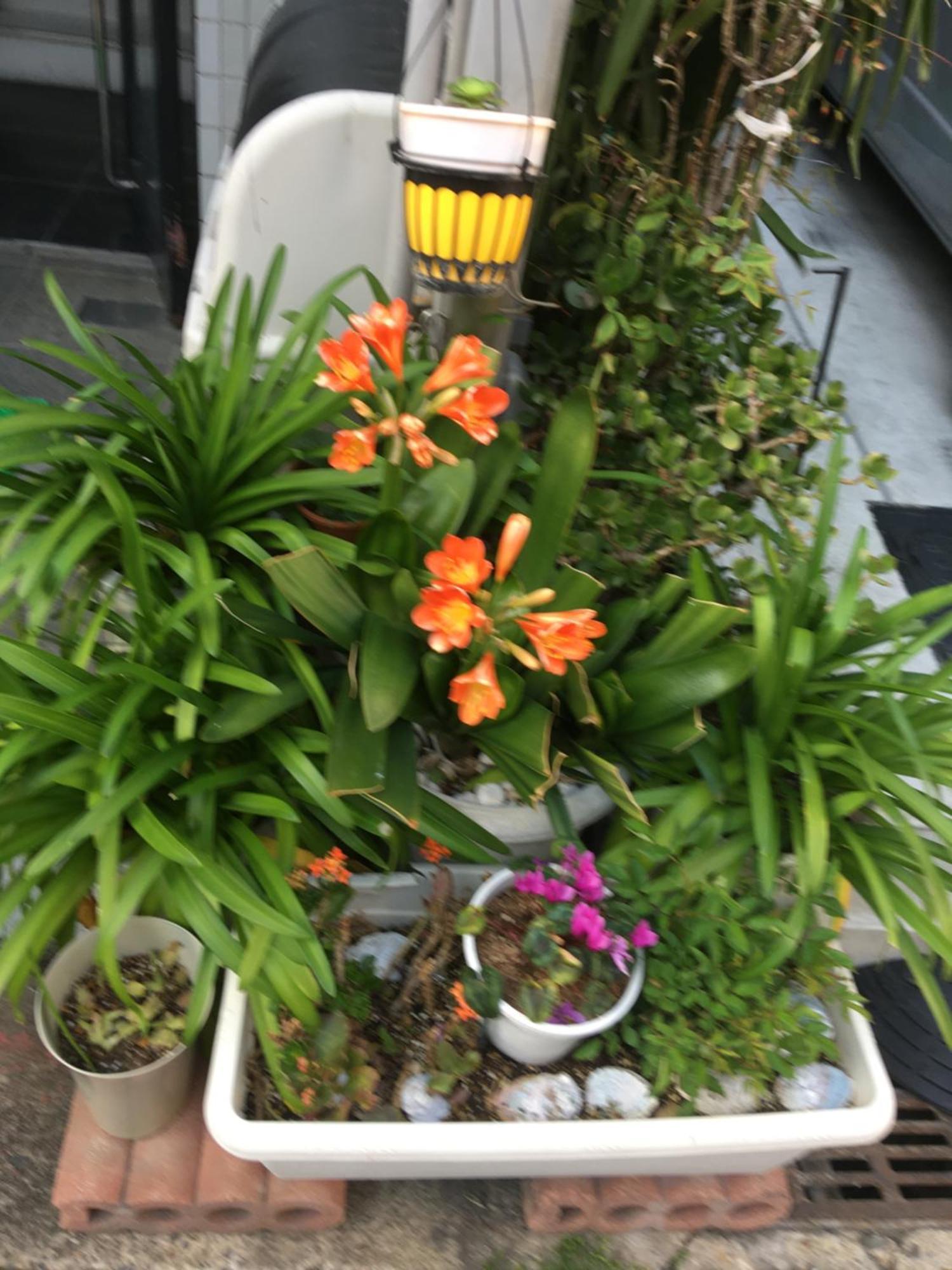 Hanmadang Osaka Zewnętrze zdjęcie